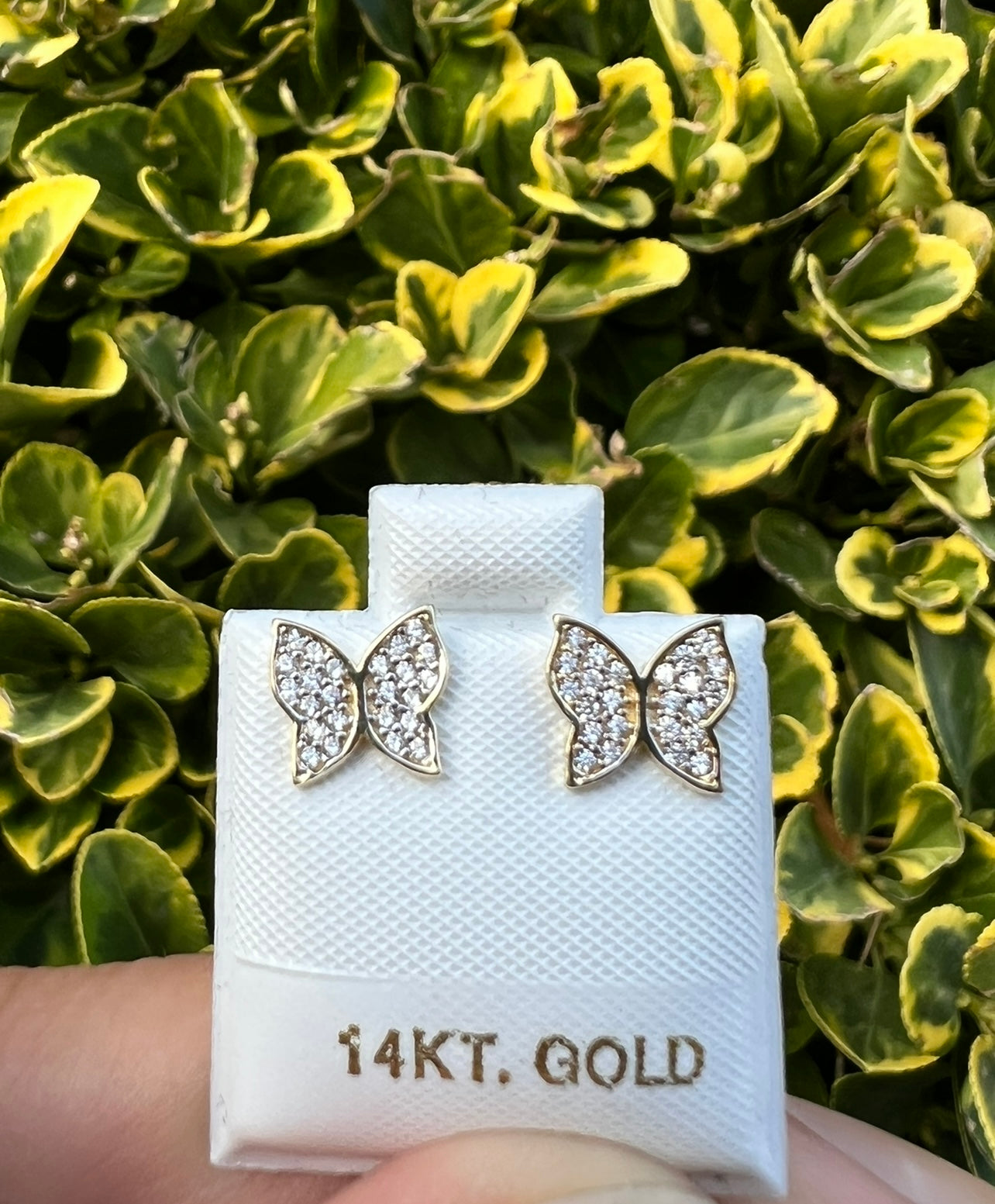 14k Real Gold Butterfly Earrings